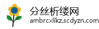 分丝析缕网